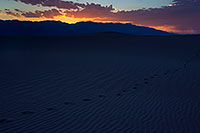/images/133/2011-06-15-dv-mesquite-sunset-77030.jpg - #09289: Footprints at Mesquite Sand Dunes in Death Valley … June 2011 -- Mesquite Sand Dunes, Death Valley, California