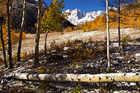 /images/133/2011-10-07-maroon-snowy-trees-105323.jpg - #09589: Fall Colors in Maroon Bells, Colorado … October 2011 -- Maroon Bells, Colorado
