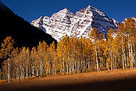 /images/133/2011-10-09-maroon-trees-meadow-105757.jpg - Colorado