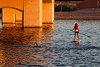 /images/133/2011-10-23-soma-swim-106659.jpg - #09658: 00:17:38 Silver cap swimming at Soma Triathlon 2011 … October 2011 -- Tempe Town Lake, Tempe, Arizona