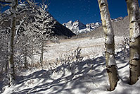 /images/133/2011-10-27-maroon-snowy-trees-109624.jpg - #09757: Snowy Trees in Maroon Bells, Colorado … October 2011 -- Maroon Bells, Colorado