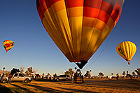 /images/133/2012-01-19-havasu-balloons-141390.jpg - #09982: Balloon Fest in Lake Havasu City, Arizona … January 2012 -- Lake Havasu City, Arizona