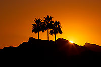 /images/133/2012-01-19-havasu-sunrise-139988.jpg - #10002: Sunrise in Lake Havasu City, Arizona … January 2012 -- Beach Park, Lake Havasu, Arizona