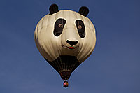 /images/133/2012-01-22-havasu-balloons-144289.jpg - #10035: Balloon Fest in Lake Havasu City, Arizona … January 2012 -- Lake Havasu City, Arizona