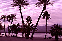 /images/133/2012-01-22-havasu-palm-beach-144307.jpg - #10037: Morning in Lake Havasu City, Arizona … January 2012 -- Beach Park, Lake Havasu City, Arizona