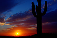 /images/133/2012-03-06-supersti-sunset-8-9-147087.jpg - #10160: Sunset and Saguaro cactus in Superstitions … March 2012 -- Lost Dutchman State Park, Superstitions, Arizona