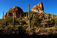 /images/133/2012-03-15-supers-rock-view-148742.jpg - #10077: Evening in Superstitions … March 2012 -- Apache Trail Road, Superstitions, Arizona