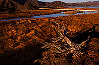 /images/133/2012-03-19-bill-will-morning-149604.jpg - #10084: Bill Williams River at Lake Havasu … March 2012 -- Bill Williams River, Lake Havasu, Arizona
