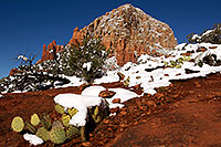 /images/133/2012-03-20-sedona-snow-cactus-149931.jpg - #10089: Snow in Sedona … March 2012 -- Thunder Mountain, Sedona, Arizona