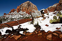 /images/133/2012-03-20-sedona-snow-cactus-149975.jpg - #10091: Snow in Sedona … March 2012 -- Thunder Mountain, Sedona, Arizona