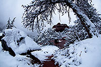 /images/133/2012-04-14-sedona-snow-fishe-5d2_0313.jpg - #10133: Snow in Sedona … April 2012 -- Schnebly Hill, Sedona, Arizona