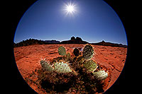 /images/133/2012-04-16-sedona-waterholes-5d2_0901.jpg - #10159: Images of Sedona … April 2012 -- Cathedral Rock, Sedona, Arizona