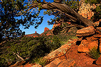 /images/133/2012-04-17-sedona-thunder-154964.jpg - #10161: Images of Sedona … April 2012 -- Thunder Mountain, Sedona, Arizona