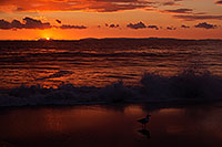 /images/133/2012-12-30-ca-aliso-sunset-14841.jpg - #10588: Sunset at Aliso Creek Beach, California … December 2012 -- Aliso Creek Beach, California