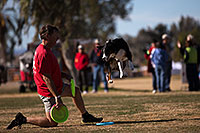 /images/133/2013-01-18-havasu-balloons-dogs-20187.jpg - #10713: Jumping dogs of Hot Dogs Club at Lake Havasu Balloon Fest … January 2013 -- Lake Havasu City, Arizona