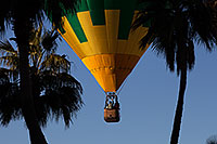 /images/133/2013-01-20-havasu-balloons-palms-21396.jpg - #10754: Lake Havasu Balloon Fest … January 2013 -- Lake Havasu City, Arizona