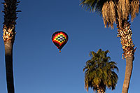 /images/133/2013-01-20-havasu-balloons-palms-21399.jpg - #10755: Lake Havasu Balloon Fest … January 2013 -- Lake Havasu City, Arizona