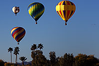 /images/133/2013-01-21-havasu-balloons-22843.jpg - #10768: Lake Havasu Balloon Fest … January 2013 -- Lake Havasu City, Arizona