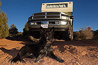 /images/133/2013-11-08-moab-mtns-kiera-1d4_4214.jpg - #11272: Kiera (Terrier, 1 year old) in Moab … November 2013 -- Moab, Utah
