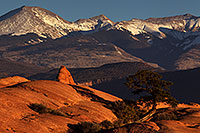 /images/133/2013-11-10-la-sal-mount-1d4_4471.jpg - #11311: La Sal Mountains in Moab … November 2013 -- La Sal Mountains, Moab, Utah