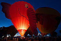 /images/133/2014-01-19-havasu-glow-1dx_8573.jpg - #11687: Elephant (Special Shape) at Lake Havasu Balloon Fest … January 2014 -- Lake Havasu City, Arizona