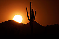 /images/133/2014-06-10-supers-sunset-mesa-5d2_6638.jpg - #11898: Sunset in Superstitions … June 2014 -- Sunset Cactus, Superstitions, Arizona
