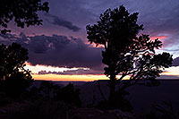 /images/133/2014-07-03-gc-dview-views-1dx_0973.jpg - #12028: Night tree silhouette at Desert View in Grand Canyon … July 2014 -- Desert View, Grand Canyon, Arizona