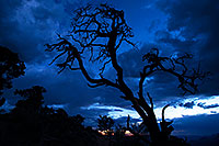 /images/133/2014-07-05-gc-dview-tree-1dx_2738.jpg - #12033: Night tree silhouette at Desert View in Grand Canyon … July 2014 -- Desert View, Grand Canyon, Arizona