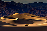 /images/133/2015-06-20-dv-mesquite-1dx_2575.jpg - #12477: Mesquite Sand Dunes in Death Valley … June 2015 -- Mesquite Sand Dunes, Death Valley, California