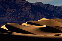 /images/133/2015-06-20-dv-mesquite-49-52-1dx_2546.jpg - #12477: Mesquite Sand Dunes in Death Valley … June 2015 -- Mesquite Sand Dunes, Death Valley, California