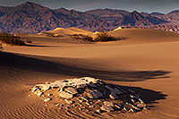 /images/133/2015-08-16-dv-mesquite-1dx_3386.jpg - #12598: Mesquite Sand Dunes in Death Valley … August 2015 -- Mesquite Sand Dunes, Death Valley, California