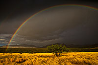 /images/133/2016-04-10-ritas-rainbow-im1-1x_10856.jpg - #12885: Rainbow over Santa Rita Mountains … April 2016 -- Santa Rita Mountains, Arizona