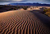 /images/133/2016-04-26-dv-mesquite-6-9-1dx_11193.jpg - #12899: Death Valley, California … April 2016 -- Mesquite Sand Dunes, Death Valley, California