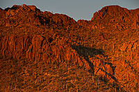 /images/133/2017-01-28-tucson-mountains-1x_36257.jpg - #13566: Tucson Mountain Park … January 2017 -- Tucson Mountains, Arizona