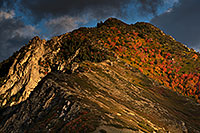 /images/133/2017-10-08-utah-slc-cla100-a7r2_05863.jpg - 14139: Fall Colors by Salt Lake City, Utah … October 2017 -- Salt Lake City, Utah