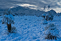 /images/133/2019-01-02-st-rita-ie1-0to6-a7r3_5259.jpg - #14527: Snow on Santa Rita Mountains … January 2019 -- Santa Rita Mountains, Arizona