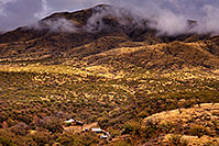 /images/133/2020-01-22-box-canyon-0to4-a7r3_21289.jpg - #14787: Fog in Box Canyon … January 2020 -- Box Canyon, Arizona
