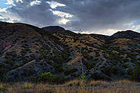 /images/133/2020-08-28-box-view-a7r3_29386.jpg - #14845: Evening at Box Canyon … August 2020 -- Santa Rita Mountains, Arizona