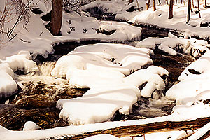 Bruce Trail in winter 