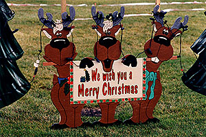 We wish you a Merry Christmas - Reindeers a month before Christmas in Windsor, Ontario