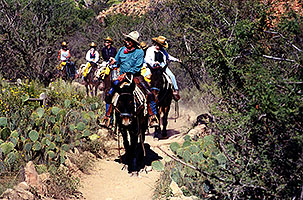 Mule caravan leaving Indian Garden and heading up Bright Angel Trail in Grand Canyon