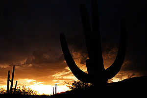 monsoon night in Tucson