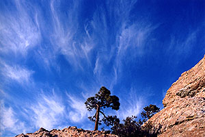 Inspiration Rock, St. Catalina Mountains
