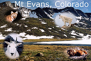 Mt Evans peaks â€¦ view from Summit Lake