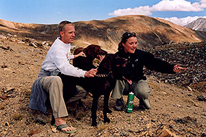 Labrador Retrievers at Loveland Pass