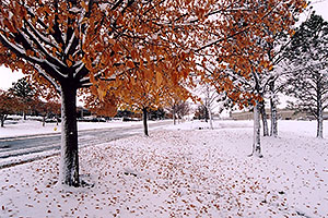When fall turns to winter in Denver suburbs