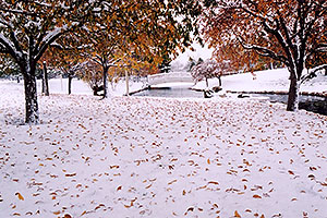 When fall turns to winter in Denver suburbs