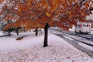 Fedex on delivery â€¦ when fall turns to winter in Denver suburbs