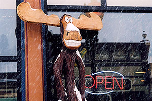Carved Moose at `Giggling Grizzly` by Open sign … images of Idaho Springs