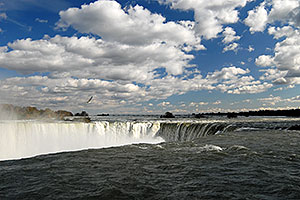 seagull over Canadian Niagara Falls